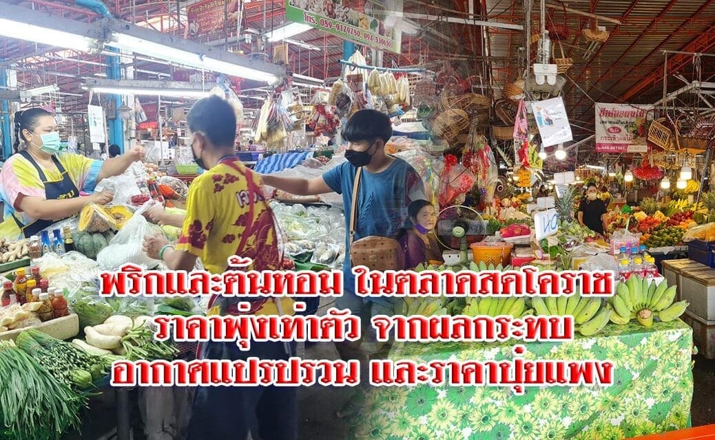 พริกและต้นหอม ในตลาดสดโคราช ราคาพุ่งเท่าตัว จากผลกระทบอากาศแปรปรวน และราคาปุ๋ยแพง