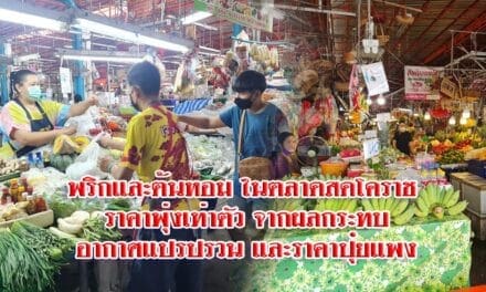 พริกและต้นหอม ในตลาดสดโคราช ราคาพุ่งเท่าตัว จากผลกระทบอากาศแปรปรวน และราคาปุ๋ยแพง