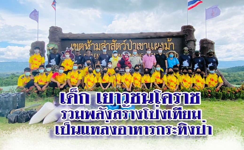 เด็ก เยาวชนโคราช รวมพลังสร้างโป่งเทียม เป็นแหล่งอาหารกระทิงป่า