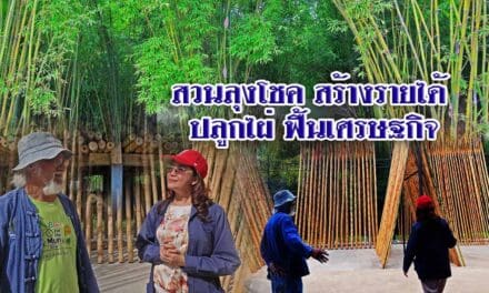 สวนลุงโชค สร้างรายได้ ปลูกไผ่ ฟื้นเศรษฐกิจ