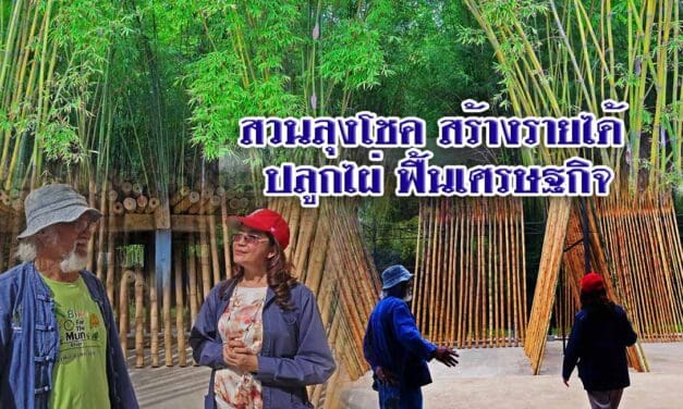 สวนลุงโชค สร้างรายได้ ปลูกไผ่ ฟื้นเศรษฐกิจ