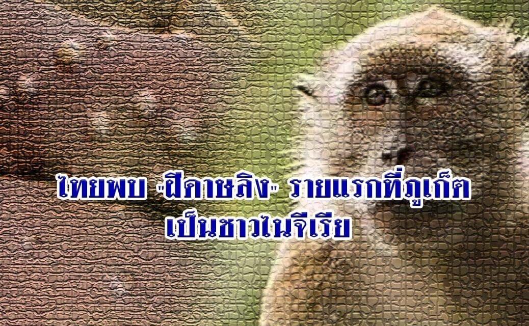 ด่วน‼️ไทยพบ “ฝีดาษลิง” รายแรกที่ภูเก็ต เป็นชาวไนจีเรีย