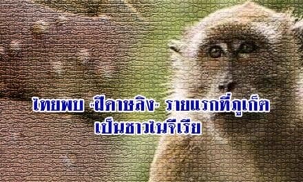 ด่วน‼️ไทยพบ “ฝีดาษลิง” รายแรกที่ภูเก็ต เป็นชาวไนจีเรีย