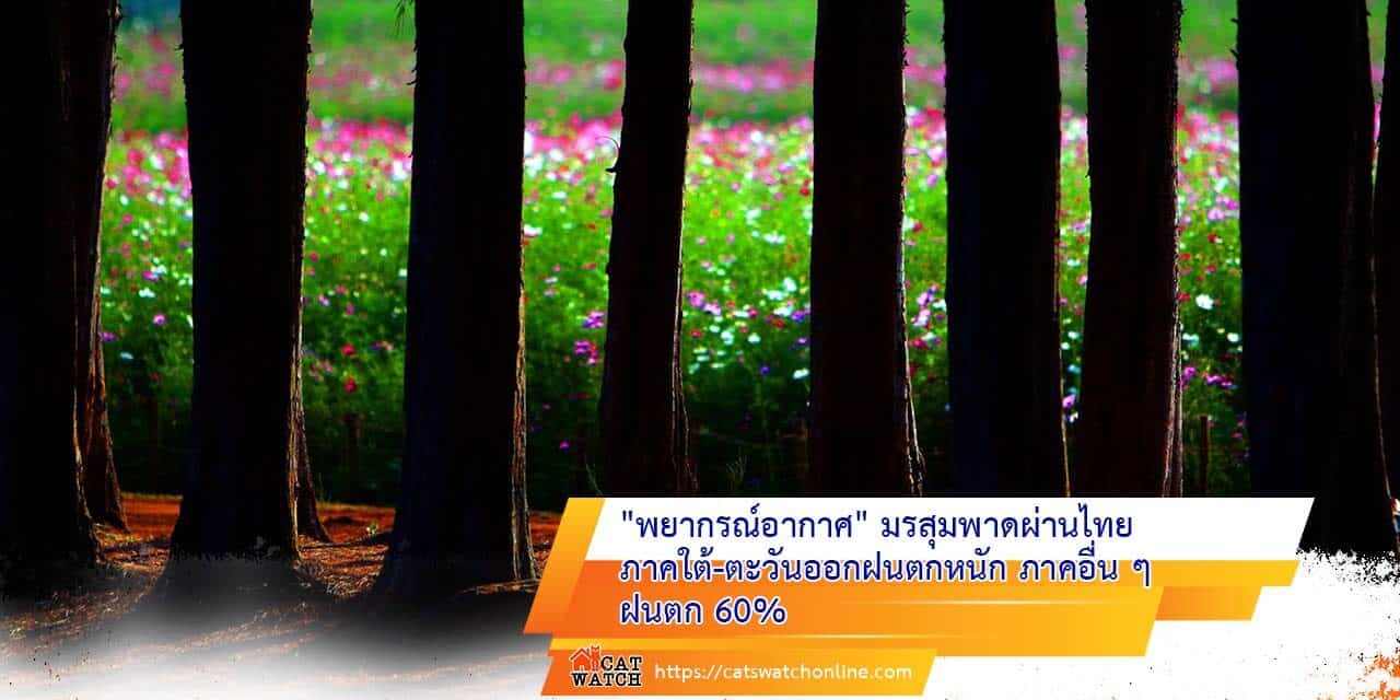 “พยากรณ์อากาศ” มรสุมพาดผ่านไทย ภาคใต้-ตะวันออกฝนตกหนัก ภาคอื่น ๆ ฝนตก 60%