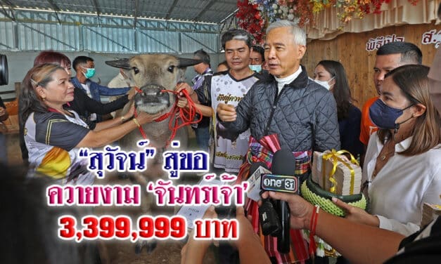 “สุวัจน์” สู่ขอควายงาม จันทร์เจ้า 3,399,999 บาท