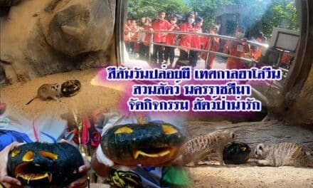 สีสันวันปล่อยผี สวนสัตว์นครราชสีมา จัดเทศกาลฮาโลวีน