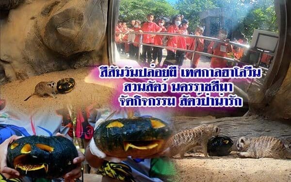 สีสันวันปล่อยผี สวนสัตว์นครราชสีมา จัดเทศกาลฮาโลวีน