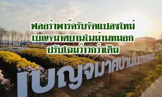 เบญจมาศบานในม่านหมอกปรับโฉมว๊าวกว่าเดิม ฟลอร่าพาร์ครับจัดแปลงใหม่