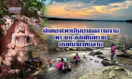 นักท่องไพรเดินป่าชมความงามพระแกะสลักหินทรายบนหน้าผาทับลาน