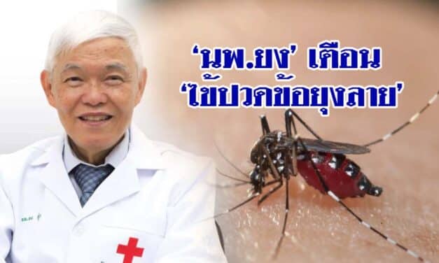 ‘นพ.ยง’ เตือน ‘ไข้ปวดข้อยุงลาย’ มีแนวโน้มระบาดหนักใน‘กทม.’