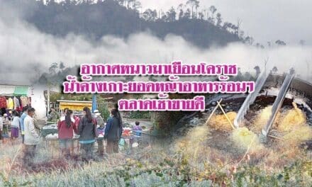 อากาศหนาวมาเยือนโคราช น้ำค้างเกาะยอดหญ้าอาหารร้อนๆ ตลาดเช้าขายดี