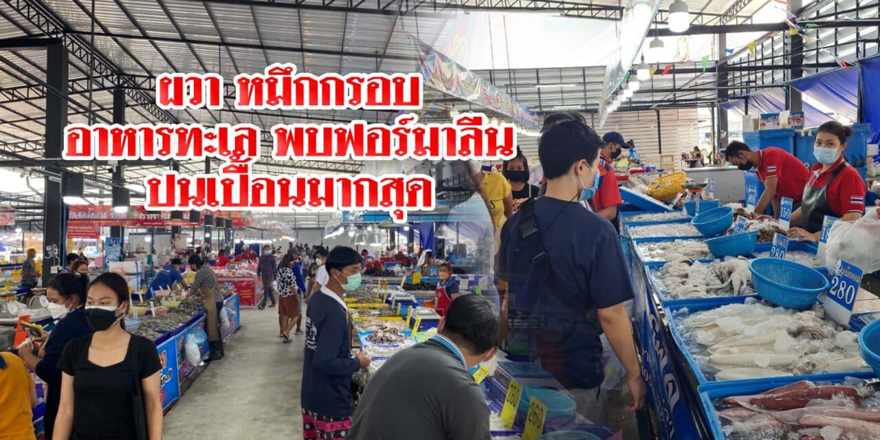 ผวา หมึกกรอบ อาหารทะเลพบฟอร์มาลีนปนเปื้อนมากสุด