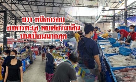 ผวา หมึกกรอบ อาหารทะเลพบฟอร์มาลีนปนเปื้อนมากสุด