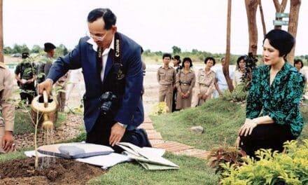 “วันดินโลก” 2565 วันสำคัญของโลก แรงกระตุ้นให้คนเห็นความสำคัญของ “ดิน”