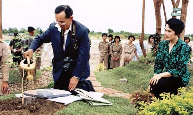 “วันดินโลก” 2565 วันสำคัญของโลก แรงกระตุ้นให้คนเห็นความสำคัญของ “ดิน”