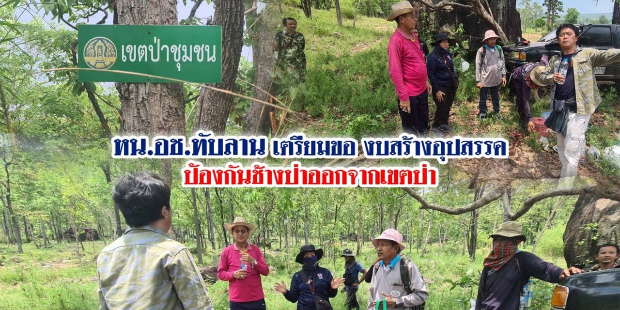 หน.อช.ทับลาน เตรียมของบสร้างอุปสรรคป้องกันช้างป่าออกจากเขตป่า