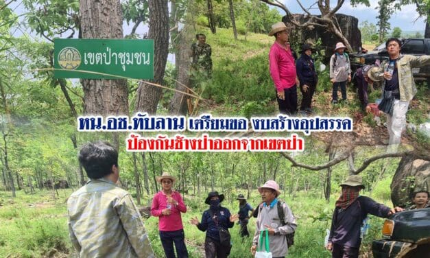 หน.อช.ทับลาน เตรียมของบสร้างอุปสรรคป้องกันช้างป่าออกจากเขตป่า