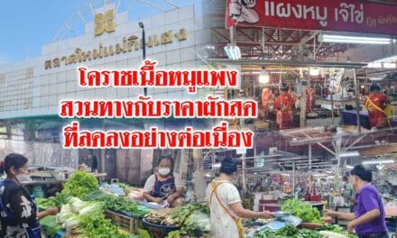 โคราชเนื้อหมูแพง สวนทางกับราคาผักสดที่ลดลงอย่างต่อเนื่อง