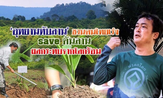 อุทยานทับลาน ชวนคนไทยเร่ง save ต้นลาน ผลกระทบจากโลกร้อน