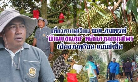 เที่ยวสวนทุเรียน ผญ.สมพงษ์ บ้านแสนสุข พลิกสวนสมุนไพรเป็นสวนทุเรียน แบบยั่งยืน