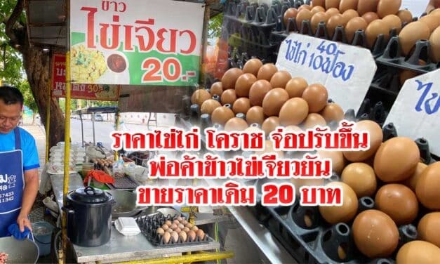 ราคาไข่ไก่โคราชจ่อปรับขึ้นราคา 