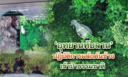 อุทยานทับลาน ปฏิบัติการผลักดันช้างเข้าป่าธรรมชาติ