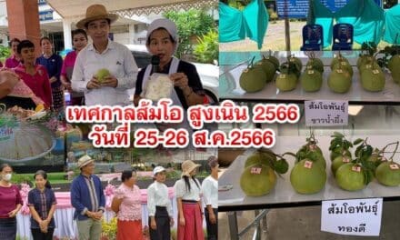 เทศกาลส้มโอ สูงเนิน 2566วันที่ 25-26 ส.ค.2566