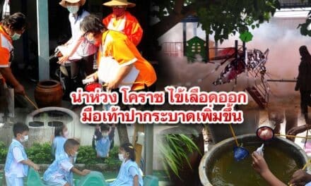 น่าห่วง โคราช ไข้เลือดออก มือเท้าปาก