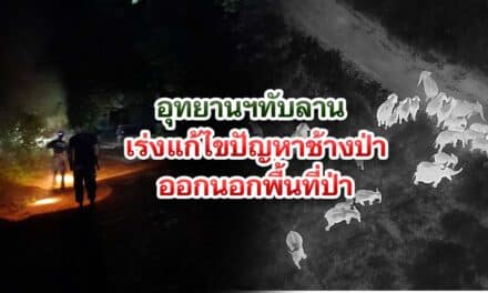 อุทยานฯทับลาน เร่งแก้ไขปัญหาช้างป่าออกนอกพื้นที่ป่า