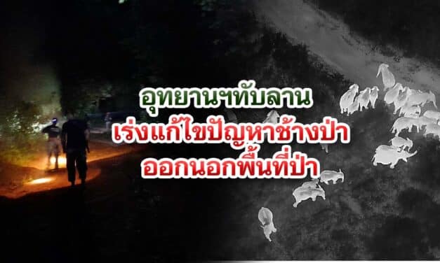 อุทยานฯทับลาน เร่งแก้ไขปัญหาช้างป่าออกนอกพื้นที่ป่า