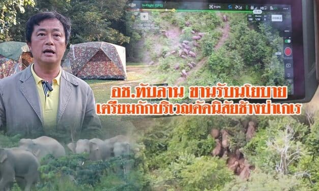 อช.ทับลาน โคราช ขานรับนโยบาย เตรียมกักบริเวณดัดนิสัยช้างป่าเกเร