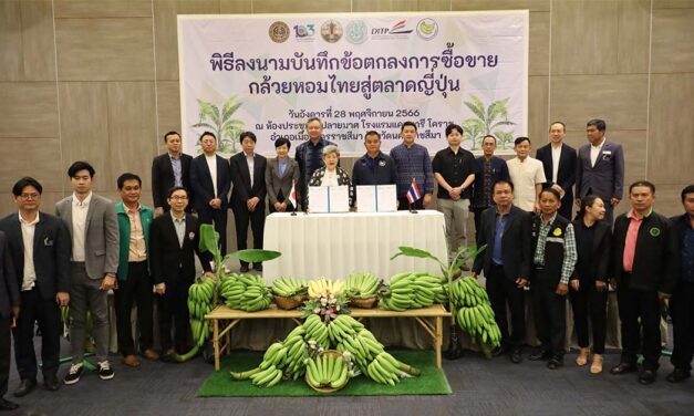 กล้วยหอมทองโคราชโกอินเตอร์ ญี่ปุ่นเซ็นสัญญาสั่งซื้อกว่า 5 พันตัน มูลค่ากว่า 100 ล้านบาท