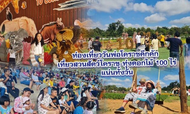 ท่องเที่ยววันพ่อโคราชคึกคัก นักท่องเที่ยวพาครอบครัวเที่ยวสวนสัตว์โคราช-ทุ่งดอกไม้ 100 ไร่แน่นทั้งวัน