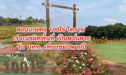 สวนเกษตร100ไร่โคราช เร่งเนรมิตพื้นที่เป็นสวนสวยรับ นทท. เที่ยวชมปลายปี
