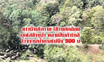 ชาวบ้านโคราช ไล่ช้างป่าหลายสิบตัวใกล้ โรงงานน้ำตาล