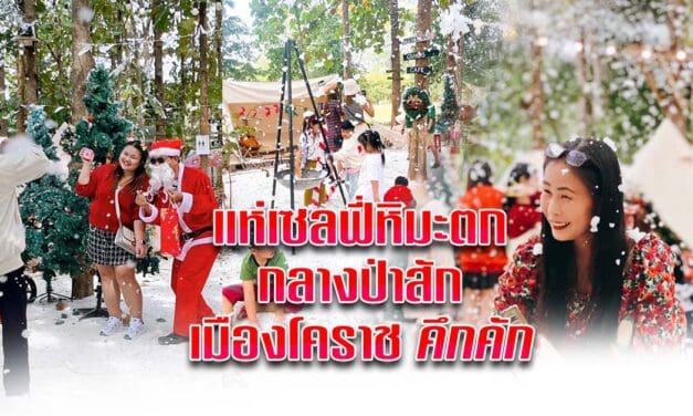 นักท่องเที่ยวแห่เซลฟี่หิมะตกกลางป่าสักเมืองโคราชคึกคัก