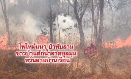  ไฟไหม้แนวป่าทับลาน ชาวบ้านตักน้ำสาดหวั่นลามบ้านเรือน
