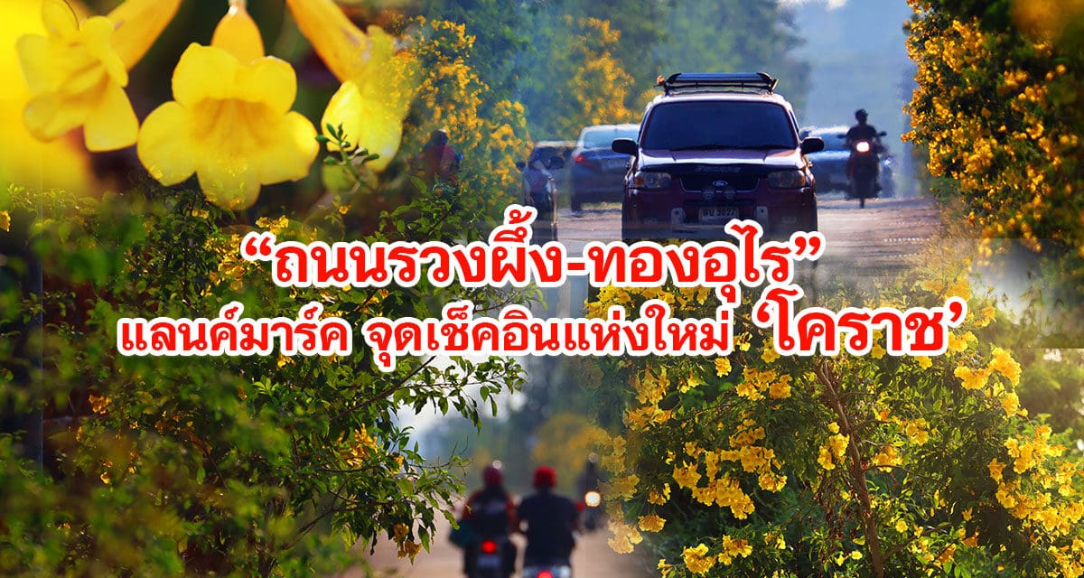 ถนนรวงผึ้ง ทองอุไร แลนค์มาร์ค จุดเช็คอินแห่งใหม่ โคราช