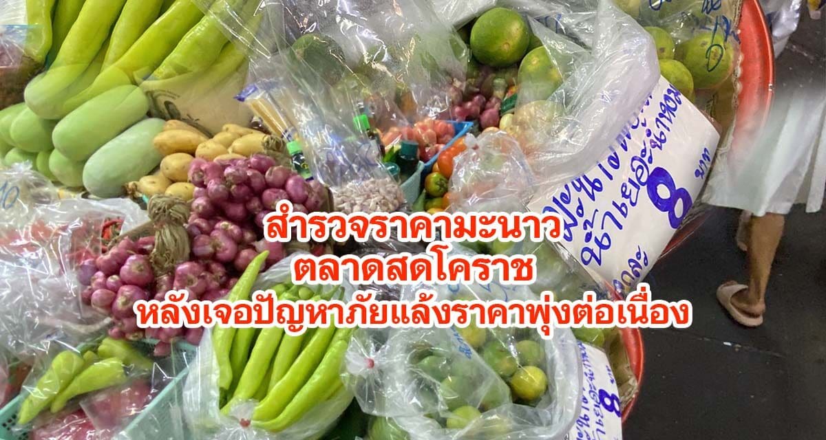 สำรวจราคามะนาวในตลาดสดโคราชหลังเจอปัญหาภัยแล้งราคาพุ่ง