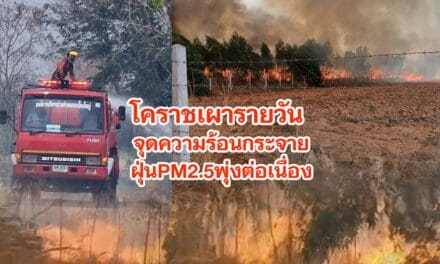 โคราชเผารายวัน จุดความร้อนกระจายทั้งจังหวัด ฝุ่นPM2.5พุ่งต่อเนื่อง