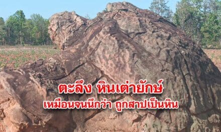 ตะลึง หินเต่ายักษ์กลางไร่มันสำปะหลัง เหมือนจนนึกว่า ถูกสาปเป็นหิน