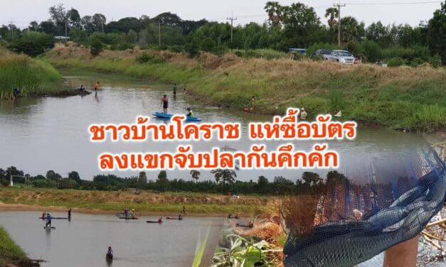 ชาวบ้านโคราช แห่ซื้อบัตรลงแขกจับปลากันคึกคัก หลังน้ำคลองธรรมชาติลดลง