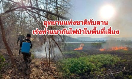 อุทยานแห่งชาติทับลาน เร่งทำแนวกันไฟป่าในพื้นที่เสี่ยง 