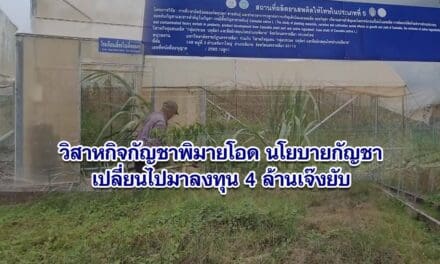 วิสาหกิจชุมชนผู้ปลูกกัญชาพิมายโคราชโอด นโยบายกัญชารัฐบาลเปลี่ยนไปมาลงทุน 4 ล้านเจ๊งยับ จี้เยียวยาหลังหลงเชื่อรัฐขายฝัน