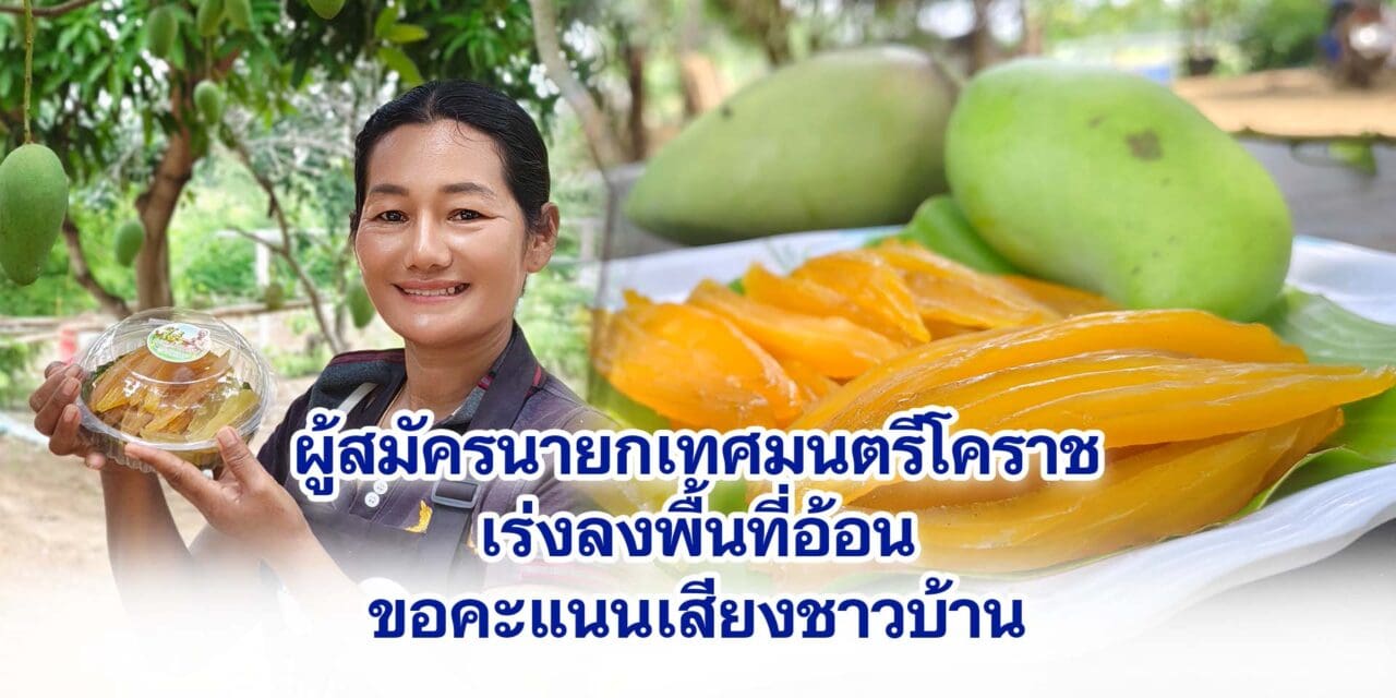 โคราชปีนี้ มะม่วงสุดดก ผู้ใหญ่บ้านนำมาแปรรูป ทำมะม่วงหนึบหนับ เพิ่มมูลค่า