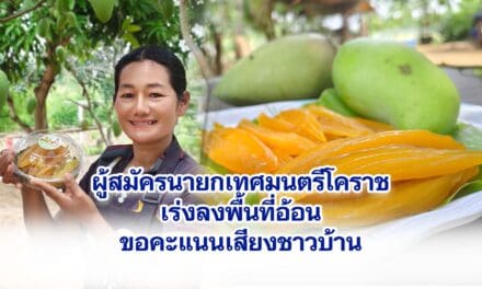 โคราชปีนี้ มะม่วงสุดดก ผู้ใหญ่บ้านนำมาแปรรูป ทำมะม่วงหนึบหนับ เพิ่มมูลค่า