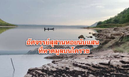 อัศจรรย์สุสานหอยนับแสน ที่หาดมูลบนโคราช