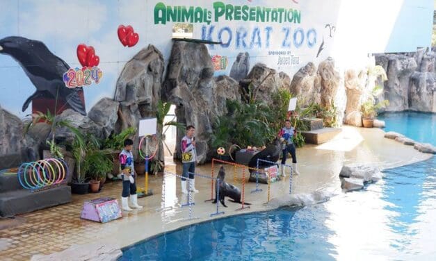 สวนสัตว์เมืองย่าโมจัดโปรโมชั่นเที่ยวชมฟรี ‘เฉพาะแมวน้ำแสนรู้’