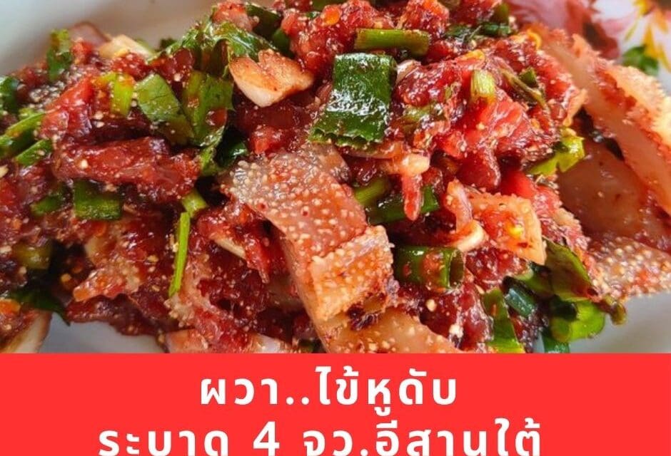 ผวา..ไข้หูดับ หรือไข้หมูดิบ กลับมาระบาดอีกครั้ง 4 จว.อีสานใต้ พบผู้ป่วยแล้ว 89 ราย ตาย 5 ราย