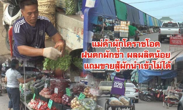 แม่ค้าผักโคราชโอด ฝนตกผักช้ำ ผลผลิตน้อย แถมขายสู้ผักนำเข้าไม่ได้